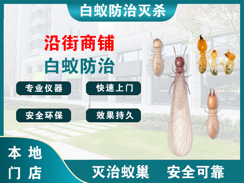 句容沿街商铺白蚁防治