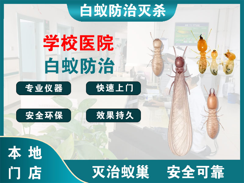 句容学校医院白蚁防治