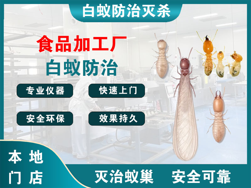 句容食品加工厂白蚁防治