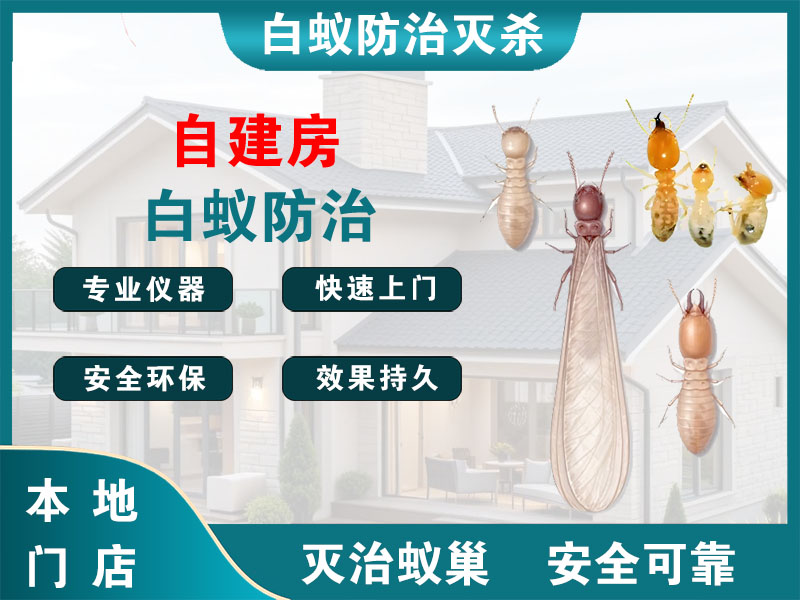 句容自建房白蚁防治