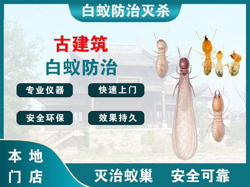 句容古建筑白蚁防治