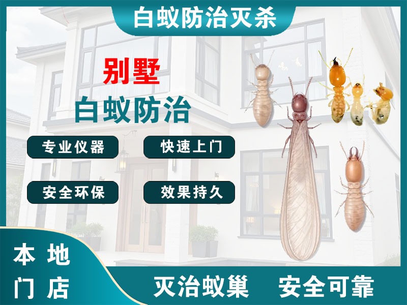 句容别墅白蚁防治