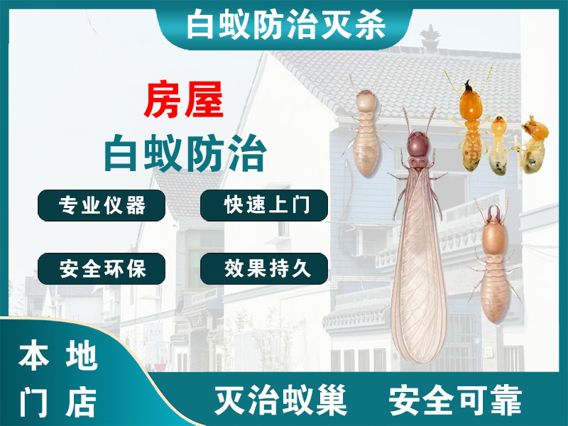句容房屋白蚁防治